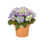 green basics cilinder 45cm mild terra